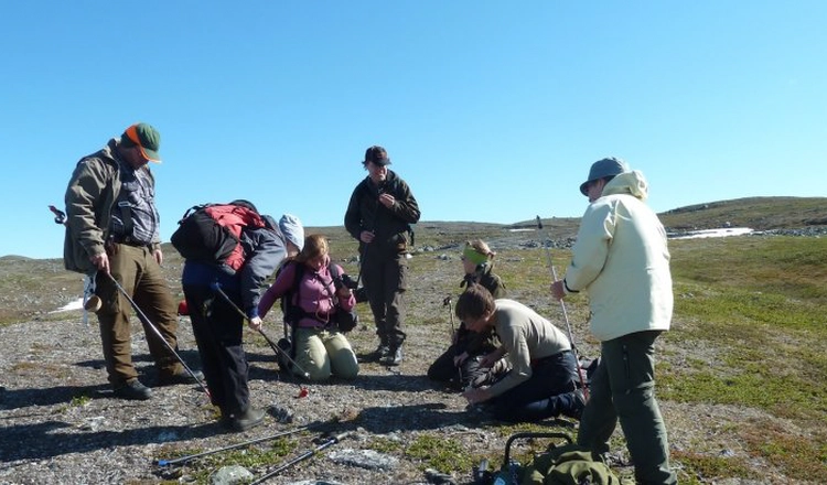 Deltagare vid en meteoritexpedition undersöker ett fynd.