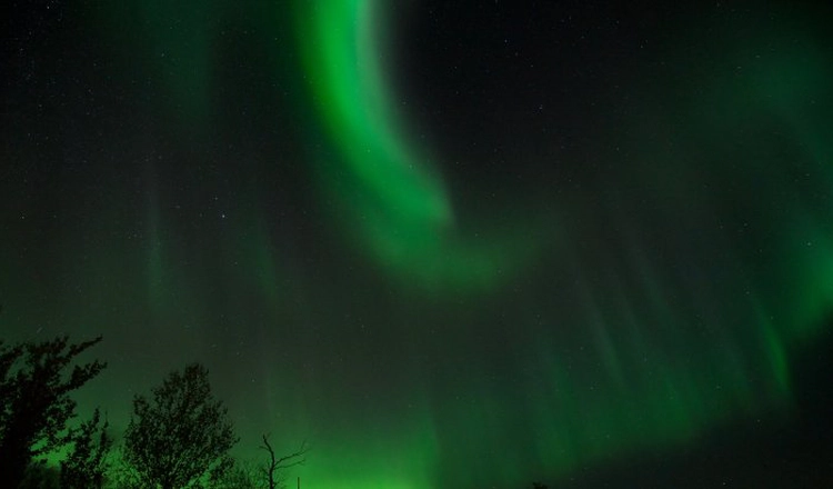 Aurora Aurora