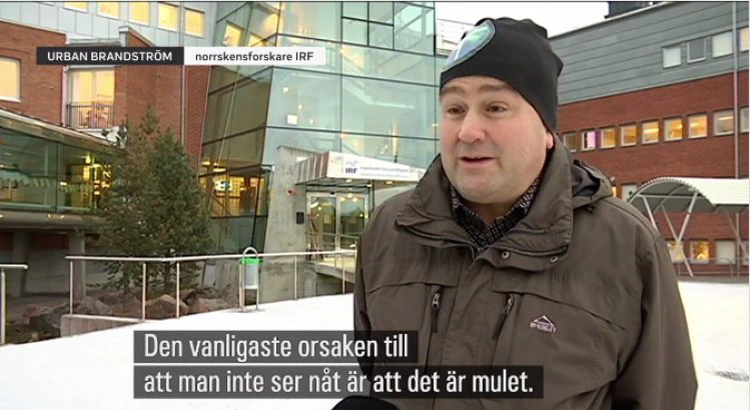 Urban Brändström intervjuas av SVT utanför IRF:s huvudkontor, med undertextningen "Den vanligaste orsaken till att man inte ser nåt är att det är mulet." Urban Brändström intervjuas av SVT utanför IRF:s huvudkontor, med undertextningen "Den vanligaste orsaken till att man inte ser nåt är att det är mulet."