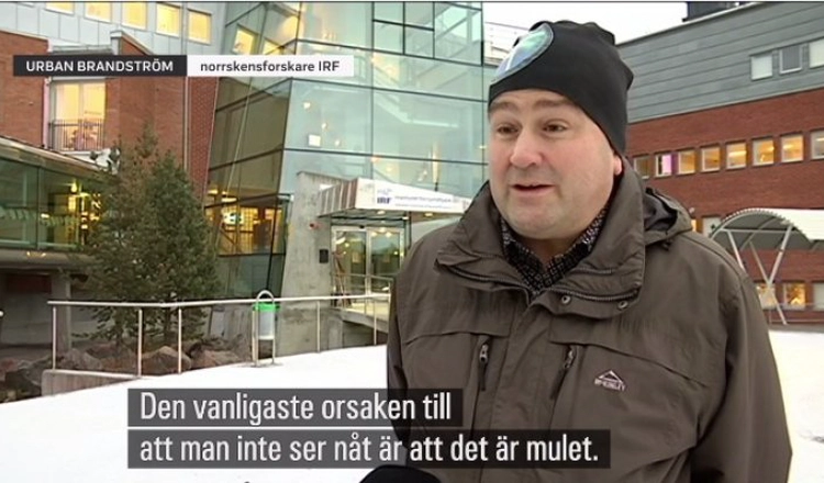 Urban Brändström intervjuas av SVT utanför IRF:s huvudkontor, med undertextningen "Den vanligaste orsaken till att man inte ser nåt är att det är mulet."