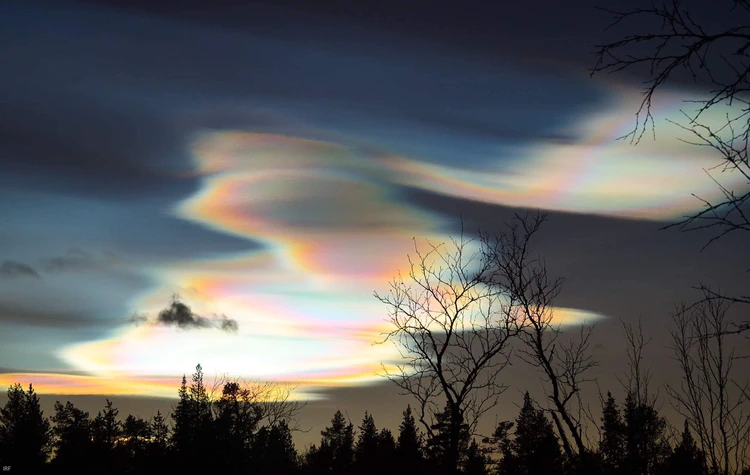 Polar stratospheric clouds over barren treetops