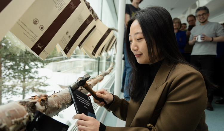 Doktor Qi Zhang spikar sin avhandling på björken som hänger på IRF.