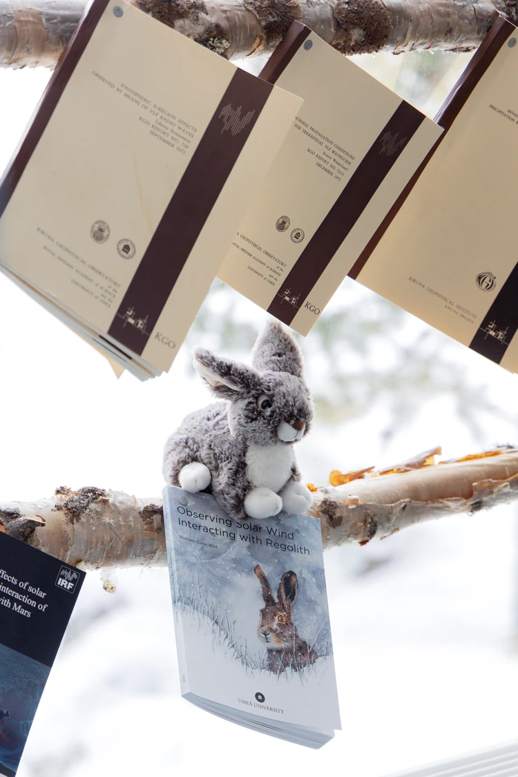 Doktorsavhandling hänger spikad.