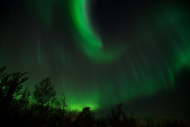IRF scientist participate in a popular science webinar – theme aurora borealis
