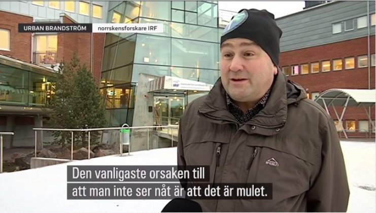 Norrskensforskaren Urban Brändström i tv-inslag